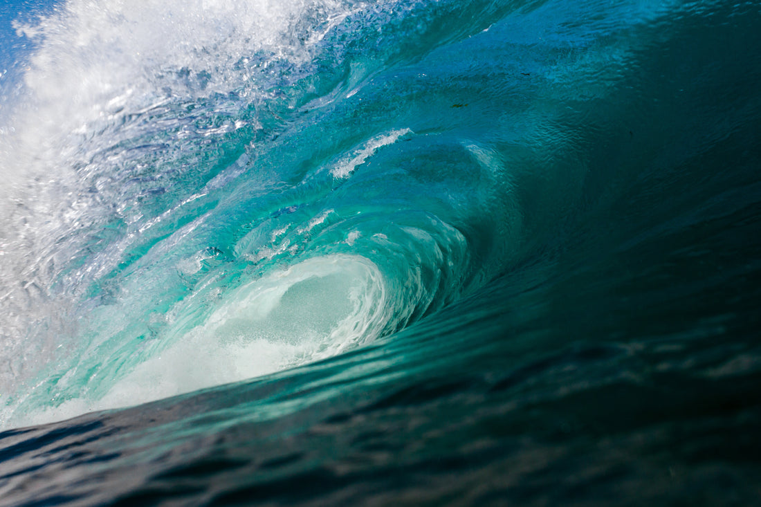 High Tide: Riding the Wave Towards a Cleaner Ocean and a Sustainable Future