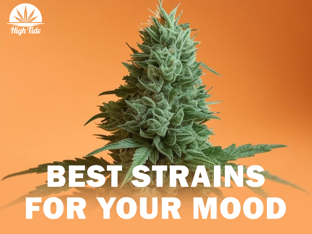 How to Pick the Right Cannabis Strain for Your Mood