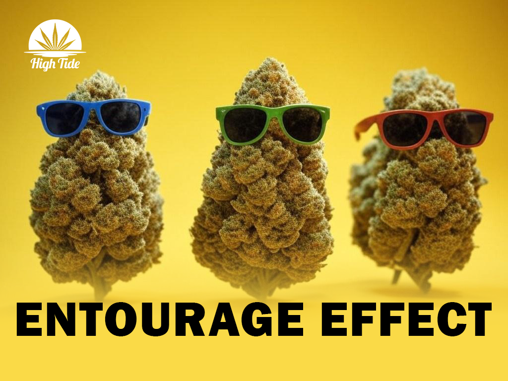 How Cannabinoids Work Together for Better Results (Entourage Effect)