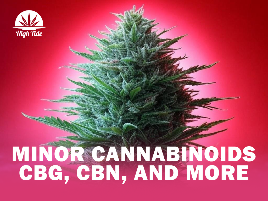 What Are Minor Cannabinoids? Exploring CBG, CBN, and More