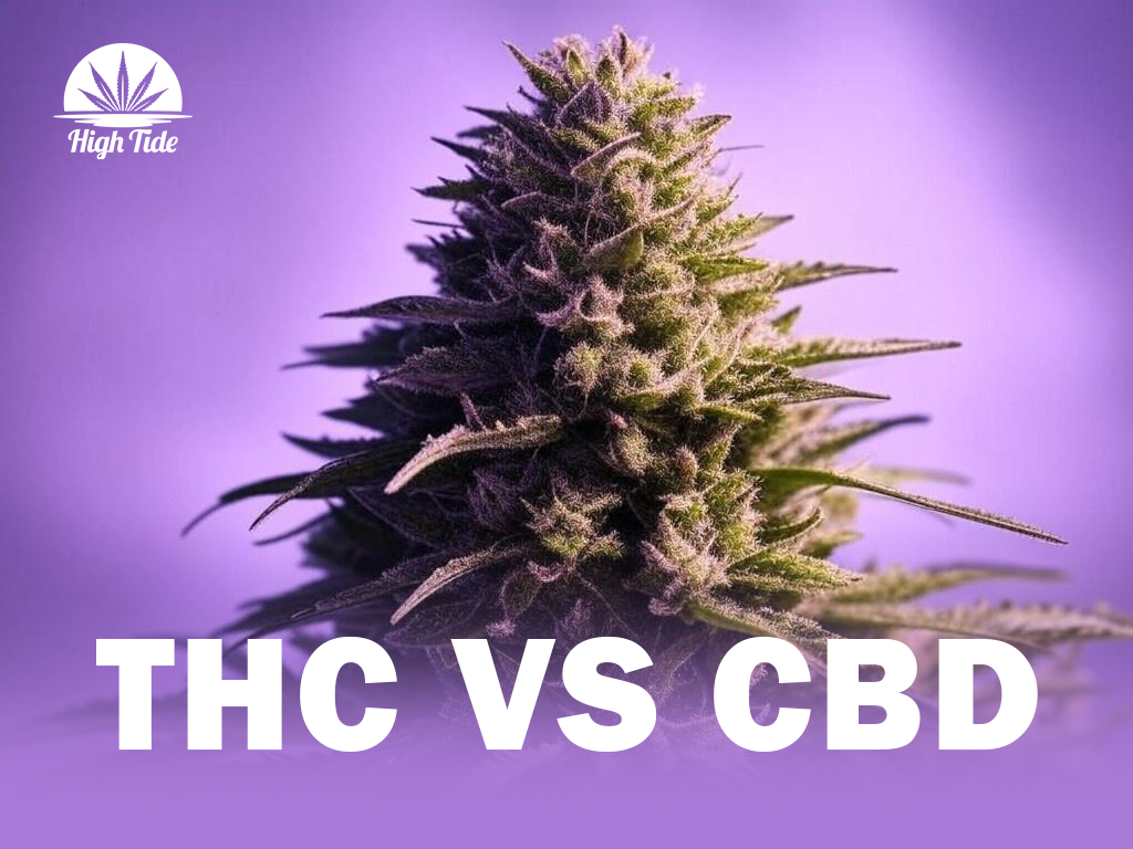 THC vs. CBD: What’s the Difference?