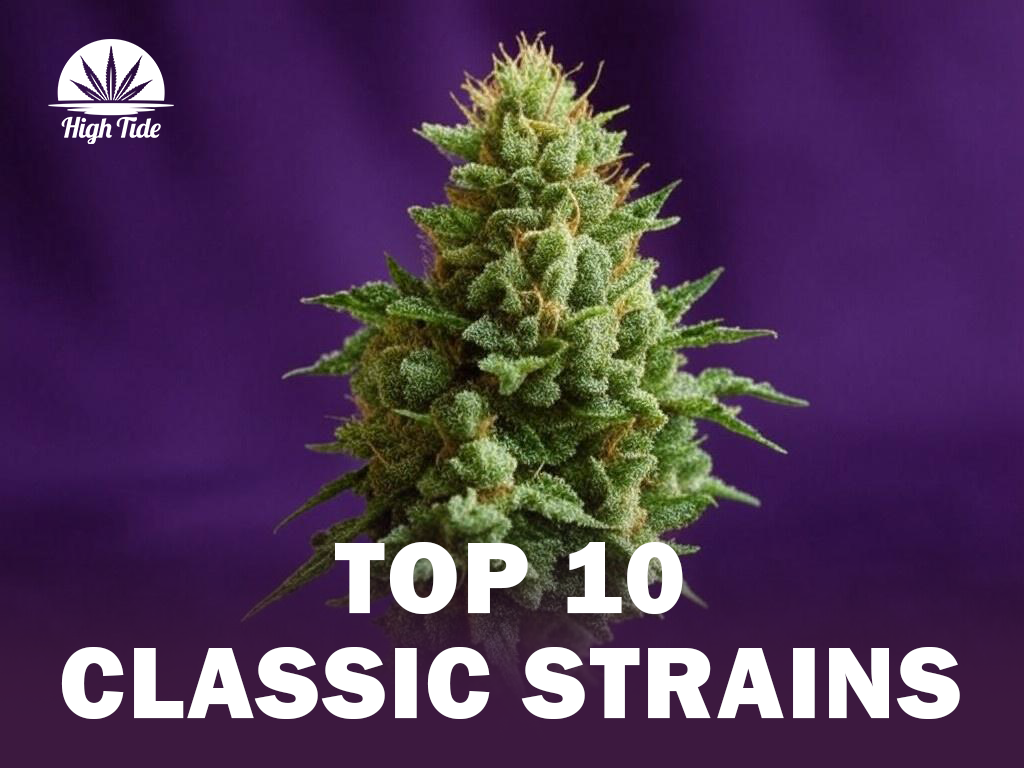 10 Classic Cannabis Strains Every Stoner Should Know